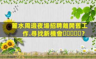 麗水周邊夜場招聘離開舊工作.尋找新機會？